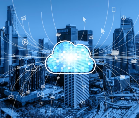 Team member reviewing shared files